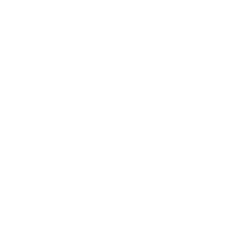 New York Atlantics official franchise logo