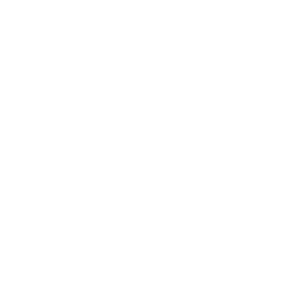 Toronto Polar Bears official franchise logo